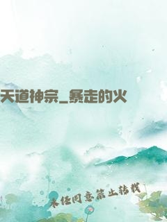 天道神宗