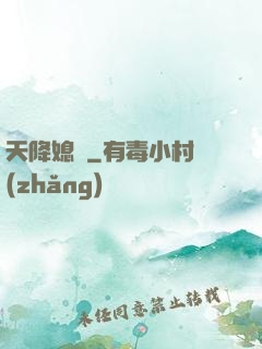 天降媳婦