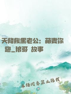 天降腹黑老公：萌妻你別跑