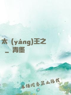 太陽(yáng)王之證