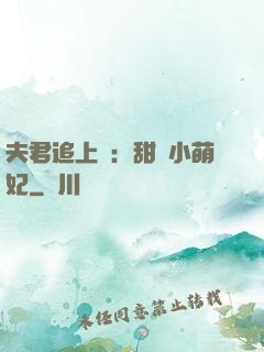 夫君追上門：甜寵小萌妃