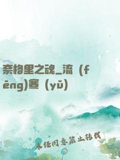奈格里之魂