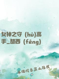 女神之守護(hù)高手