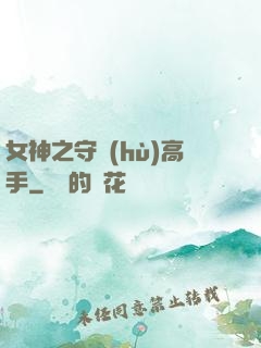 女神之守護(hù)高手