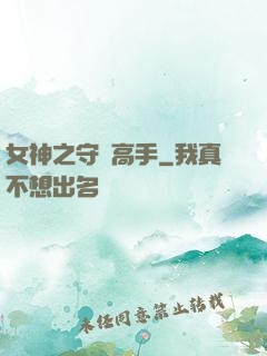 女神之守護高手