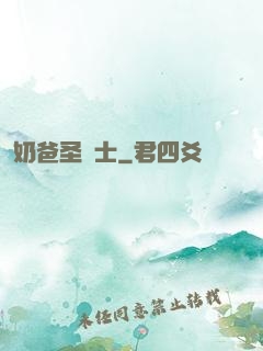 奶爸圣騎士