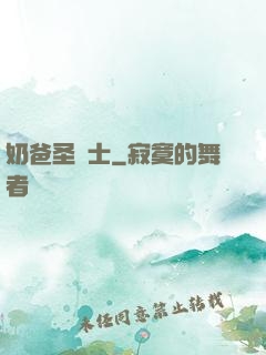 奶爸圣騎士