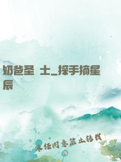 奶爸圣騎士