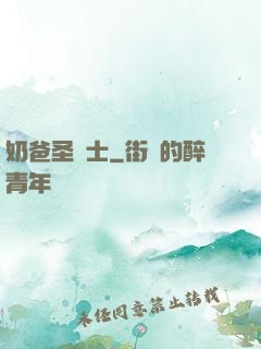 奶爸圣騎士