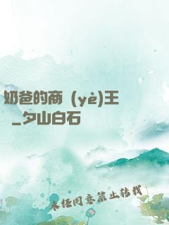 奶爸的商業(yè)王國