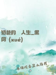 奶爸的鑒寶人生