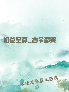 奶爸至尊