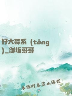 好大哥系統(tǒng)