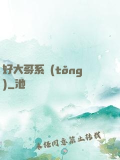 好大哥系統(tǒng)