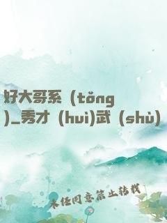 好大哥系統(tǒng)