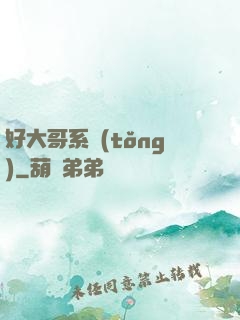 好大哥系統(tǒng)