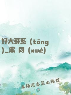 好大哥系統(tǒng)