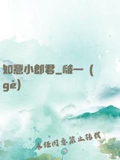 如意小郎君