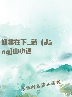 妞非在下