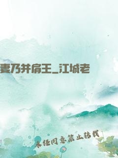 妻乃并肩王