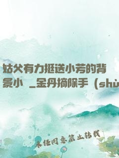 姑父有力挺送小芳的背景小說