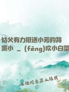 姑父有力挺送小芳的背景小說