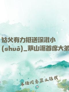 姑父有力挺送徐湫小說(shuō)