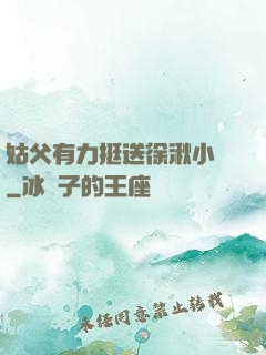 姑父有力挺送徐湫小說