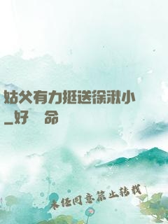 姑父有力挺送徐湫小說