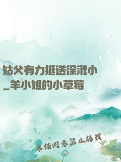 姑父有力挺送徐湫小說
