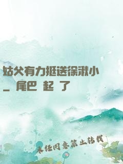 姑父有力挺送徐湫小說