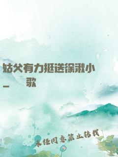 姑父有力挺送徐湫小說