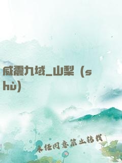 威震九域