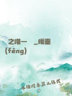 娛樂之唯一傳說