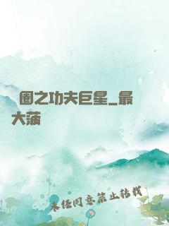 娛樂圈之功夫巨星