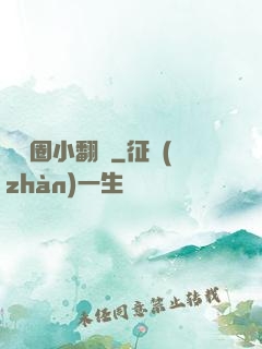 娛樂圈小翻譯