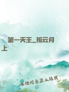 娛樂第一天王