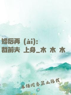 婚后再愛(ài)：總裁前夫纏上身