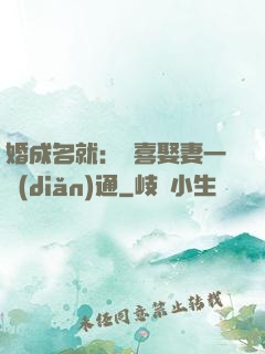 婚成名就：歡喜娶妻一點(diǎn)通