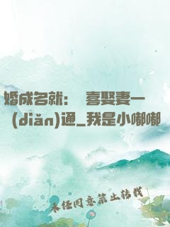 婚成名就：歡喜娶妻一點(diǎn)通