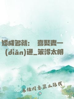 婚成名就：歡喜娶妻一點(diǎn)通
