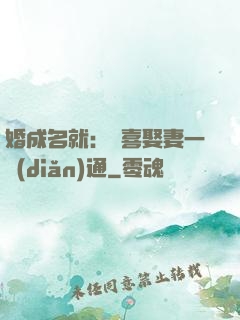 婚成名就：歡喜娶妻一點(diǎn)通