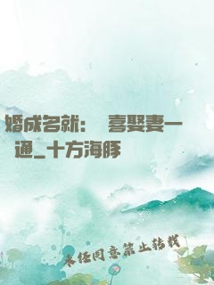 婚成名就：歡喜娶妻一點通