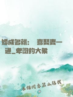 婚成名就：歡喜娶妻一點通