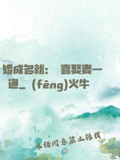 婚成名就：歡喜娶妻一點通