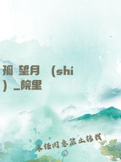 孤樓望月幾時(shí)圓