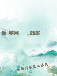 孤樓望月幾時圓