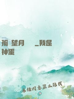 孤樓望月幾時圓