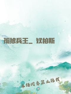 孤狼兵王