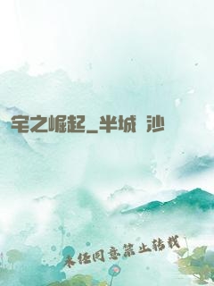 宅之崛起